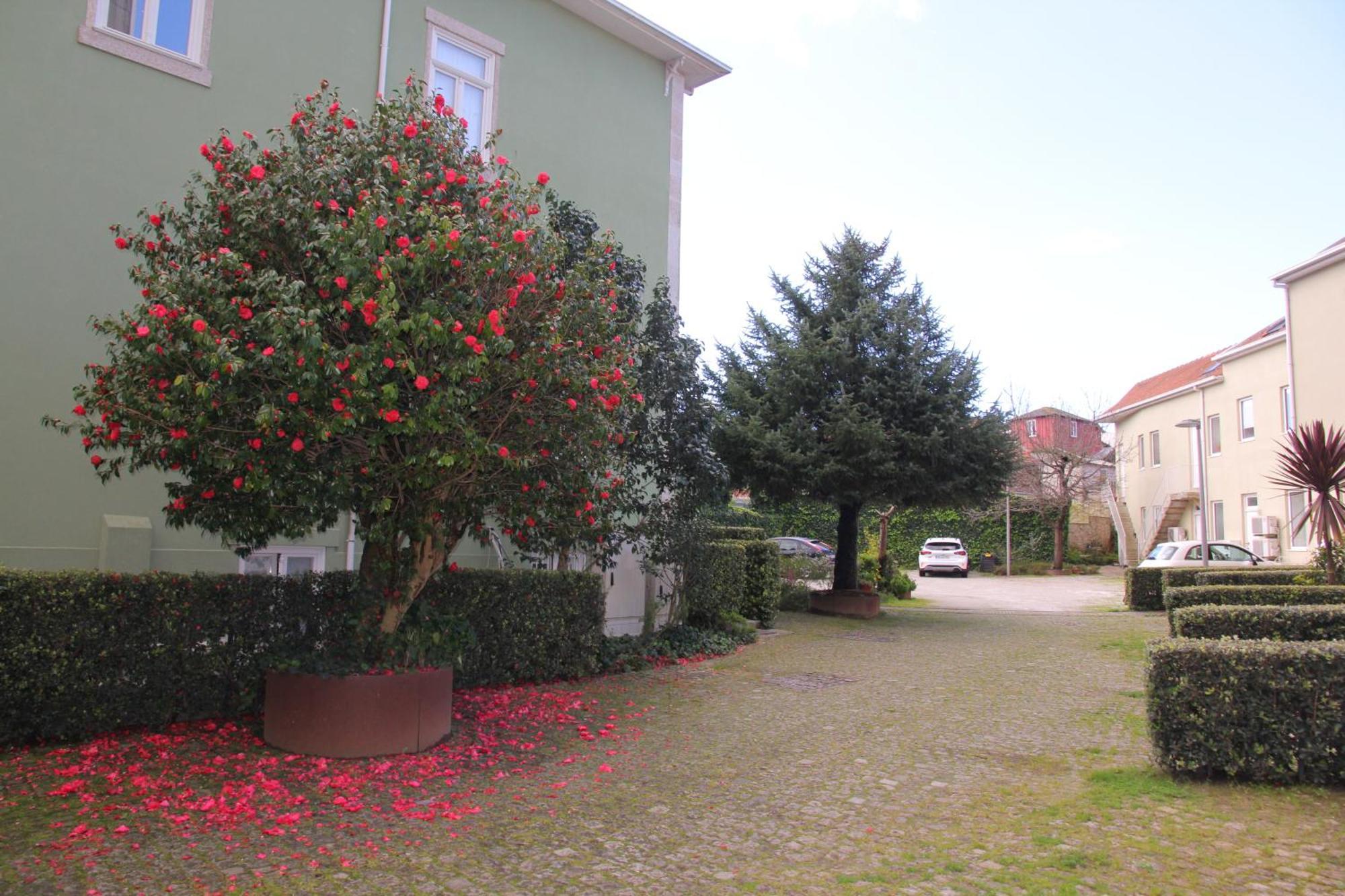Downtown Refuge Camoes Appartement Oporto